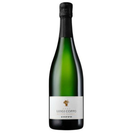 Alta Langa Brut Luigi Coppo 2019 0,75 lt.