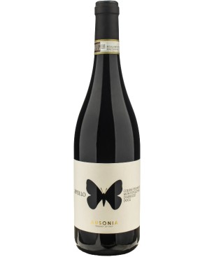 Montepulciano d\'Abruzzo Apollo Colline Teramane Ausonia 2022 0,75 lt.