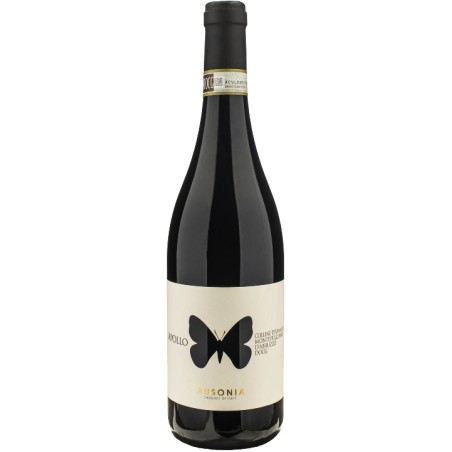 Montepulciano d\'Abruzzo Apollo Colline Teramane Ausonia 2022 0,75 lt.