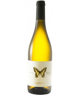 Pecorino Abruzzo Machaon Ausonia 2023 0,75 lt.