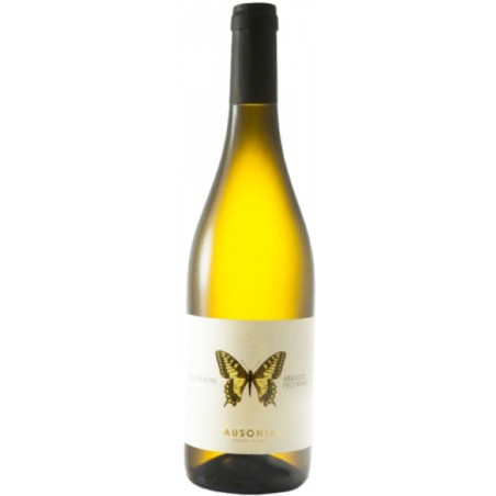 Pecorino Abruzzo Machaon Ausonia 2023 0,75 lt.