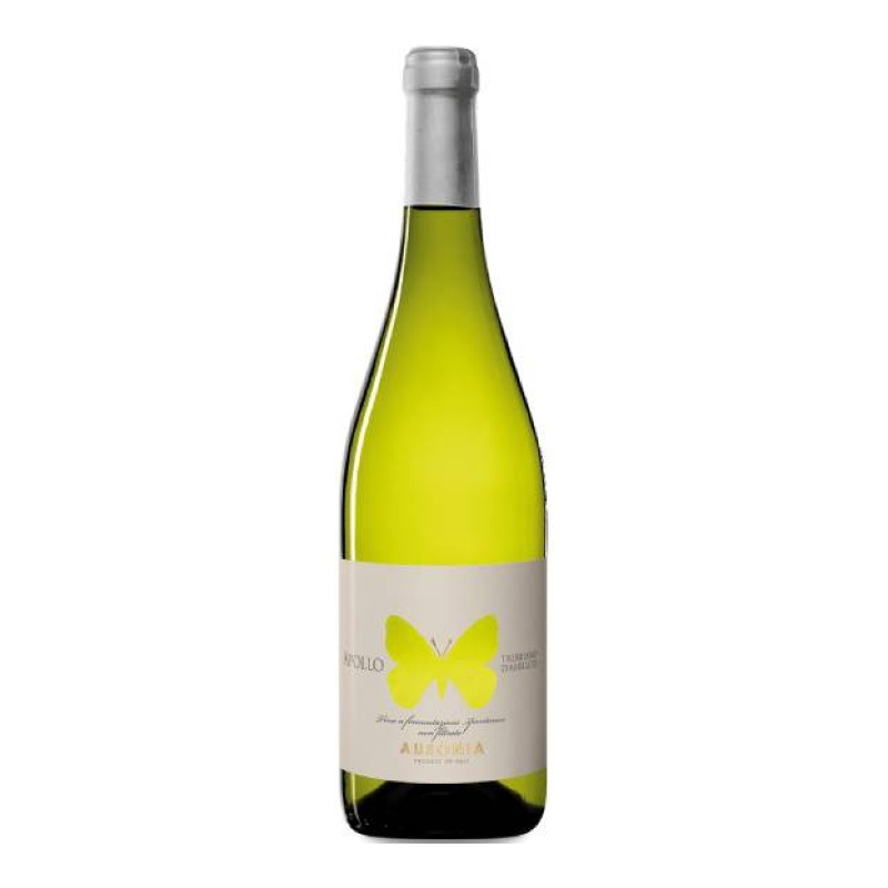 Trebbiano d\'Abruzzo Apollo Ausonia 2023  0,75 lt.