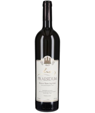 Trebbiano Terre Aquilane Luci Praesidium 2022 0,75 lt.