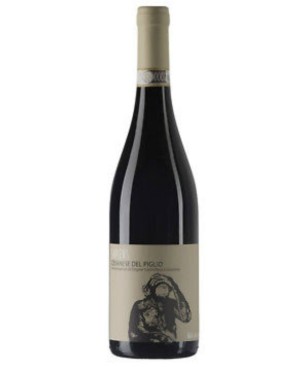 Cesanese del Piglio Sapiens Federici 2024 0,75 lt.