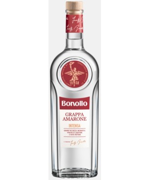 Grappa di Amarone Intensa Bonollo 0,70 lt.