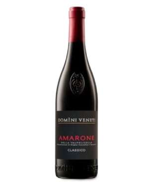 Amarone della Valpolicella Domini Veneti Negrar 2021 0,75 lt.