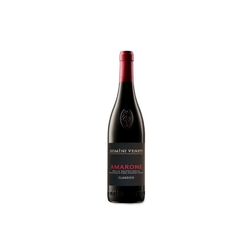 Amarone della Valpolicella Domini Veneti Negrar 2021 0,75 lt.