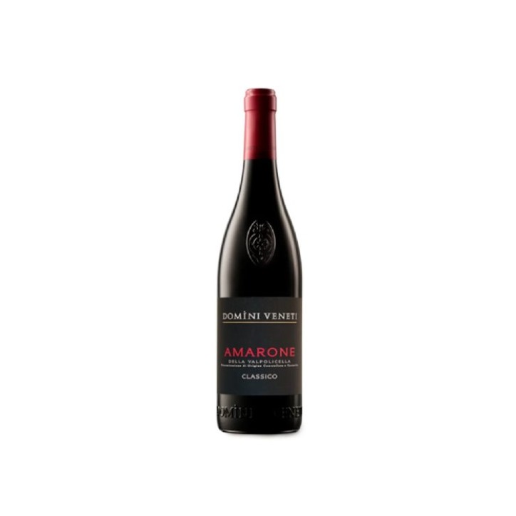 Amarone della Valpolicella Domini Veneti Negrar 2021 0,75 lt.