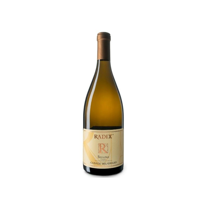 Bolgheri Bianco Donna Olimpia 2016 0,75 lt. Bolgheri Bianco Donna Olimpia 2016 0,75 lt.
