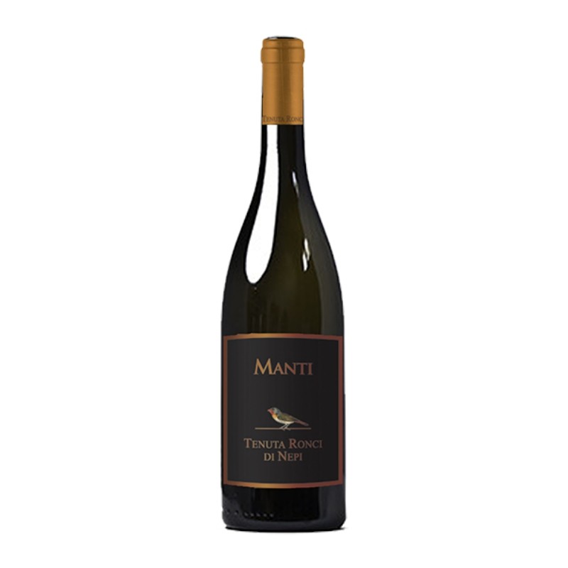 Chardonnay Manti Ronci di Nepi 2019 0,75 lt.
