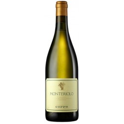 Chardonnay Monteriolo Coppo 2016 0,75 lt.