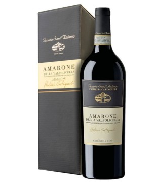 Amarone della Valpolicella Castagnedi Tenuta Sant\'Antonio 2017 0,375 lt.