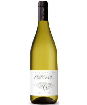 Chardonnay Colle Cavalieri Cantina Tollo 2023 0,75 lt.