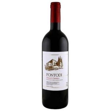 Chianti Classico Fontodi 2019 0,75 lt.