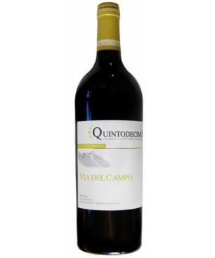 Falanghina Via del Campo Quintodecimo 2022 0,75 lt.