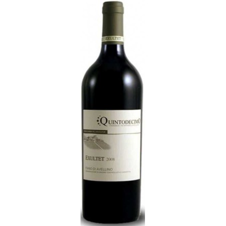 Fiano di Avellino Exultet Quintodecimo 2022 0,75 lt.