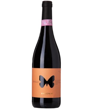 Apollo Colli Aprutini Rosso Ausonia 2021 0,75 lt.