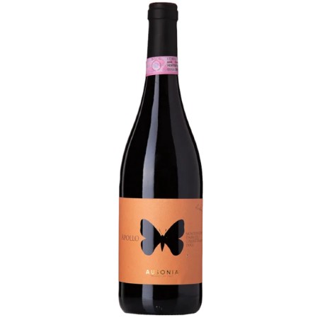 Apollo Colli Aprutini Rosso Ausonia 2021 0,75 lt.