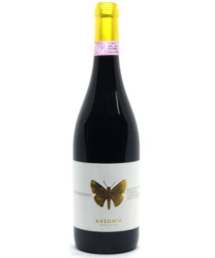 Montepulciano d\'Abruzzo Riserva Nostradamus Ausonia 2015 0,75 lt.