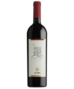 Sfursat 5 Stelle Nino Negri 2020 0,75 lt.