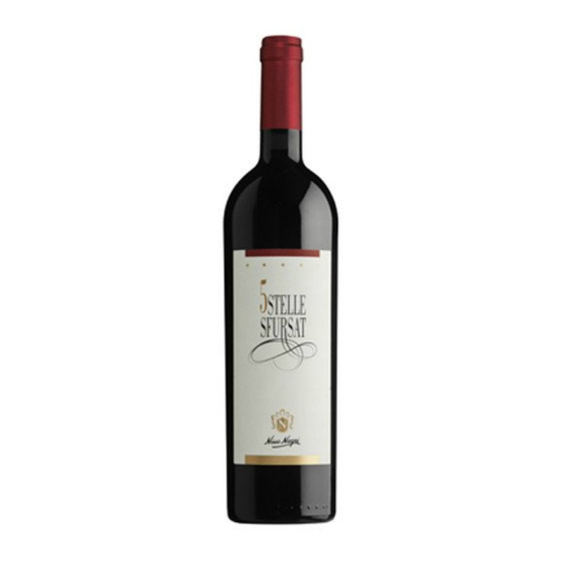 Sfursat 5 Stelle Nino Negri 2020 0,75 lt.