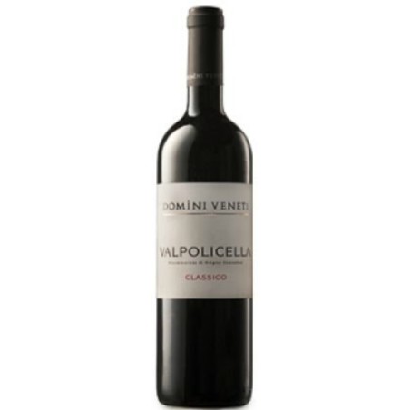 Valpolicella Classico Negrar Domini Veneti 2023 0,75 lt.