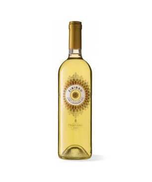 Zibibbo Liquoroso Bio Pellegrino 0,75 lt.