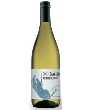 Chardonnay Colle Cavalieri Cantina Tollo 2024 0,75 lt.